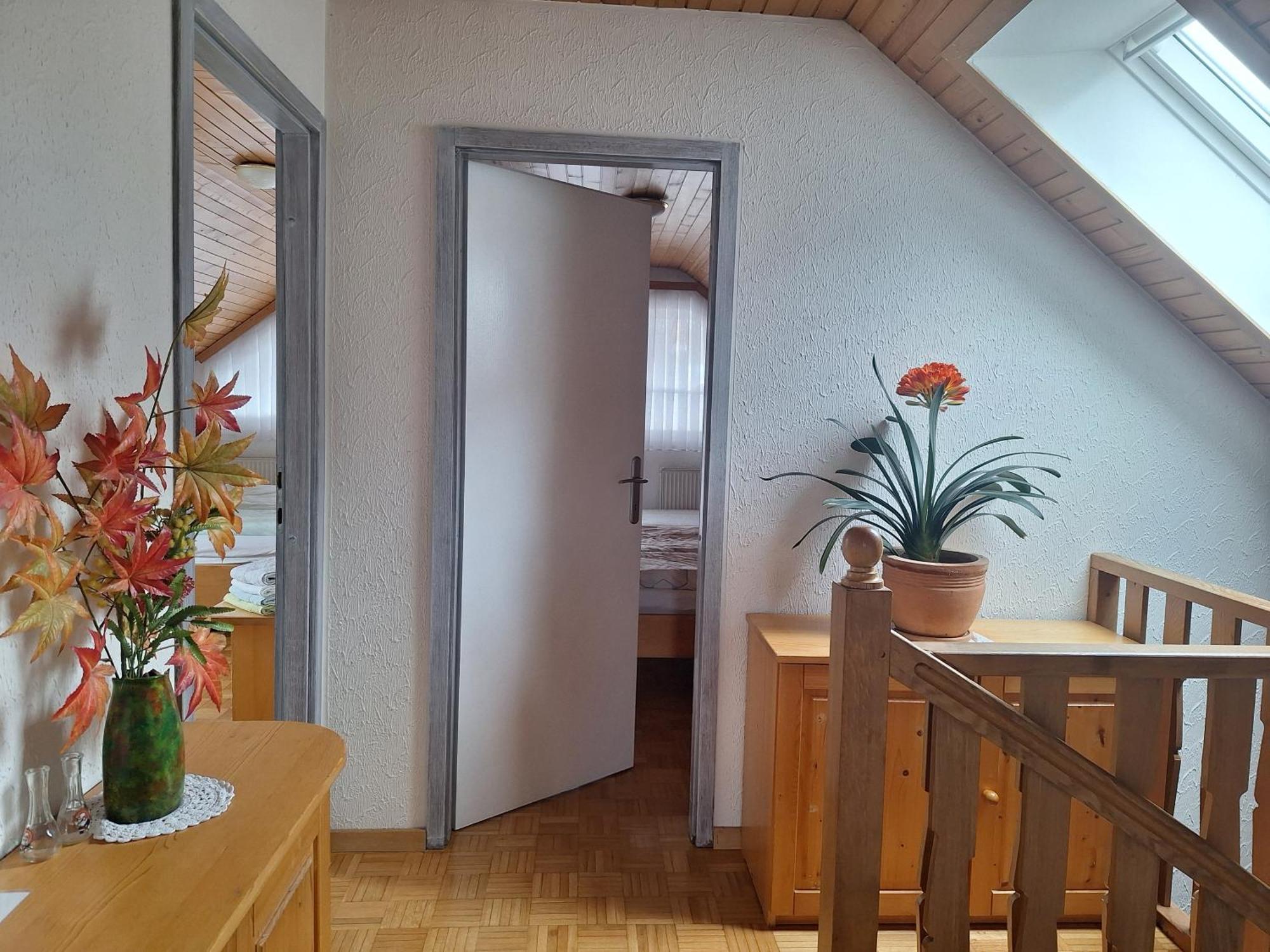 Apartmaji Marinka Hodnik Bohinj Eksteriør billede